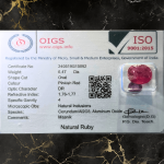 Ruby - Manik Economic (6.47ct- 7.05rt) - Image 3