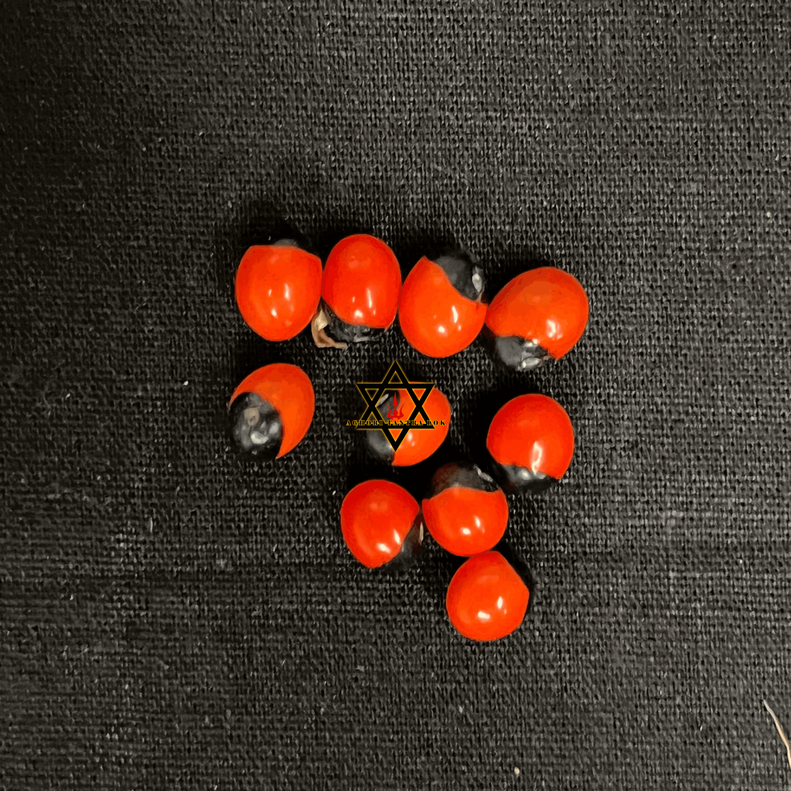 laal gunja beej Laal Gunja Beej - Image 1