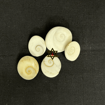 Gomti Chakra